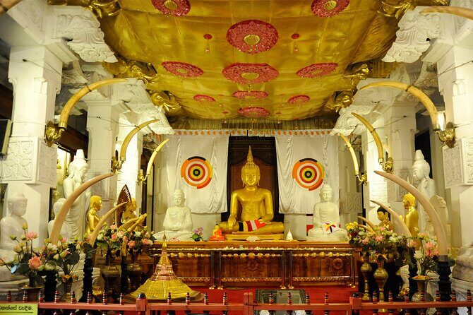 Kandy Day Trip: Colombo, Negombo, Bentota and Kalutara - What Sets This Tour Apart