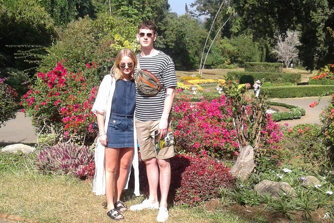 Kandy Day Trip from Colombo: Tea Factory- Peradeniya Botanical Gardens-Kandy - A Deep Dive into the Day’s Highlights