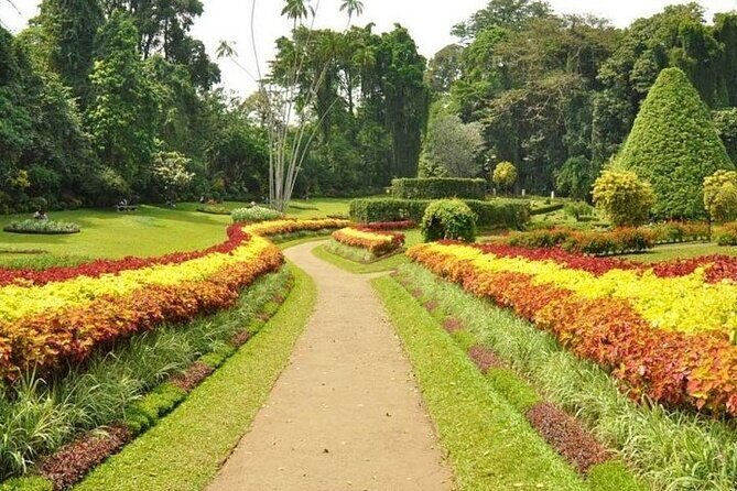 Kandy Day trip from Kalutara Beruwala Bentota Aluthgama Wadduwa - The Heart of Sri Lanka: A Deep Dive into the Kandy Day Trip