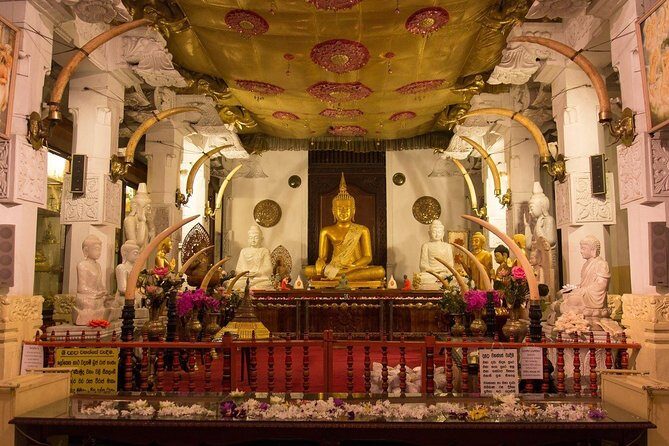 Kandy Day Trip with Tooth Relic Temple & Unique Attractions - An In-Depth Look at the Kandy Day Trip
