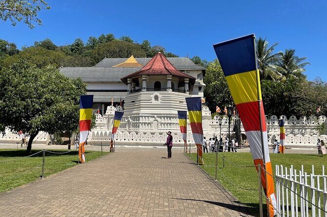 Kandy Full Day Tour from Colombo and Negombo and CMB Airport - Experience the Best of Kandy in a Day