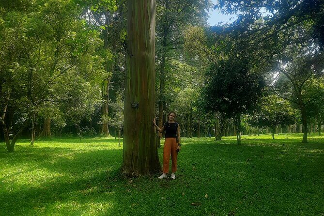 Kandy Full Day Tour from Colombo and Negombo and CMB Airport - Key Points