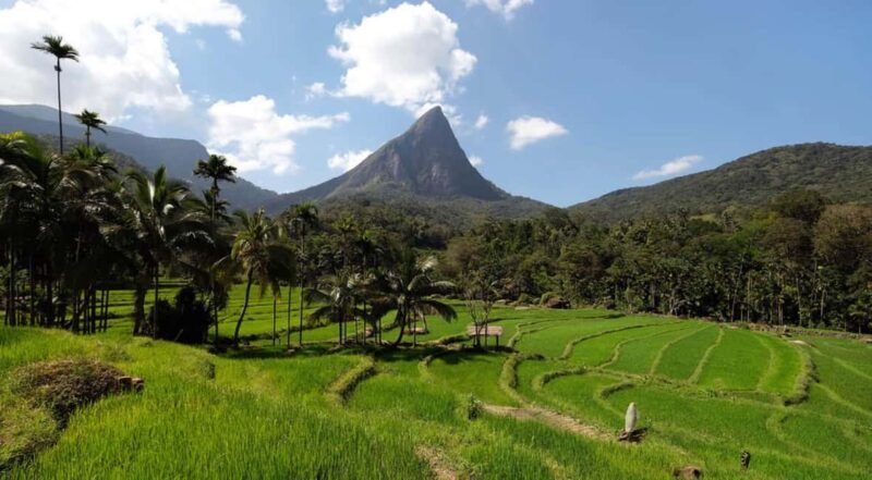 Kandy: Meemure Village Day Trip (Hidden Mountain Village) - Returning to Kandy: A Scenic Drive Home