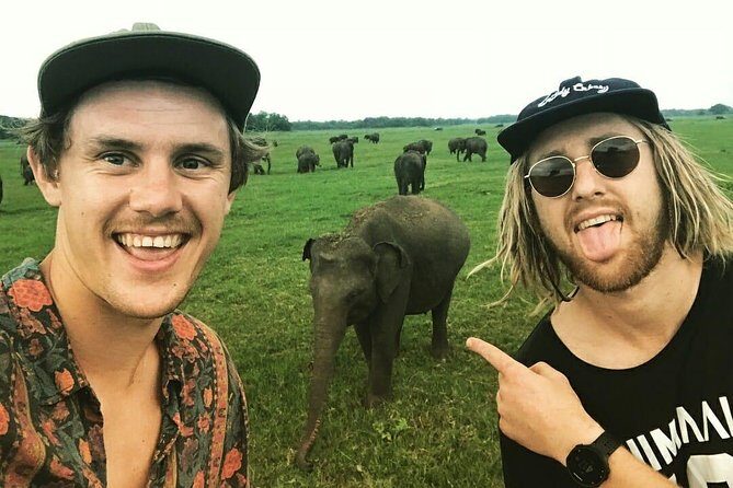 Kandy - Minneriya National park & Sigiriya Rock Fortress (Tours & Entrance fees) - A Deep Dive into the Experience