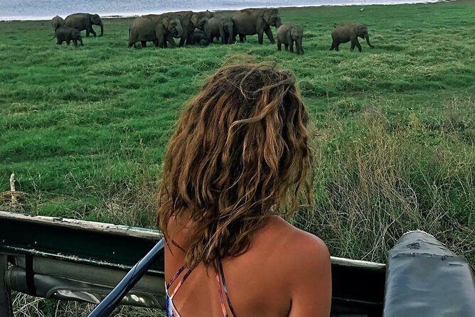 Kandy - Minneriya National park & Sigiriya Rock Fortress (Tours & Entrance fees) - Practical Details and Value