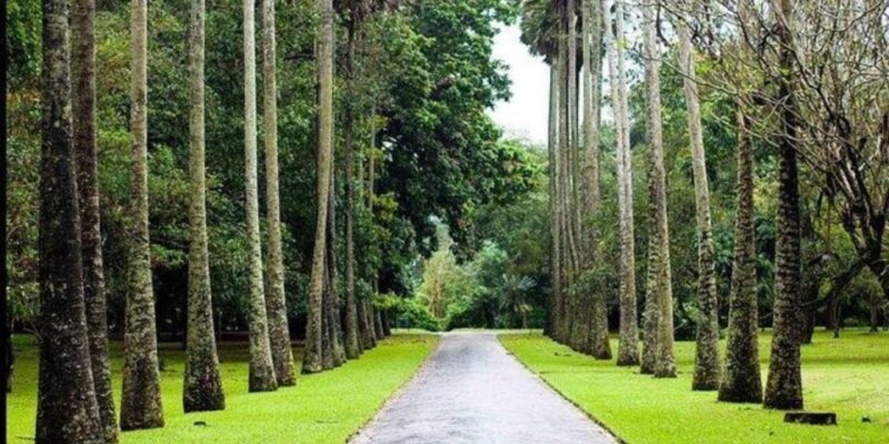 Kandy & Nuwara Eliya: 2-Day Tour! - FAQ