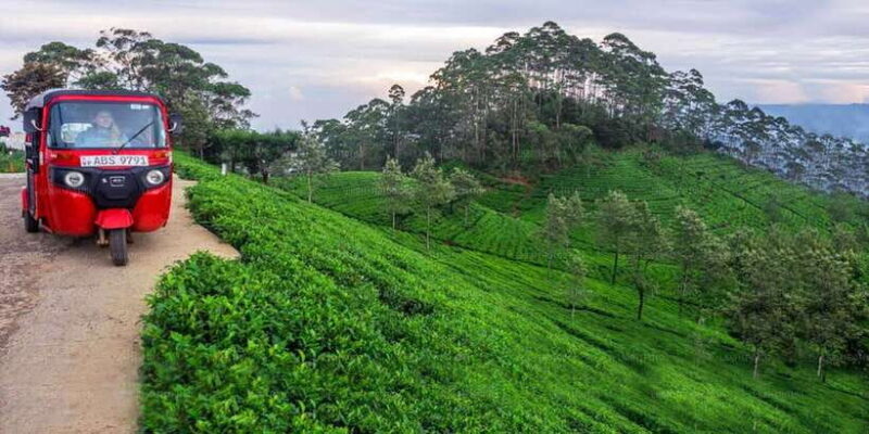 Kandy: Nuwara Eliya Day Trip - FAQs
