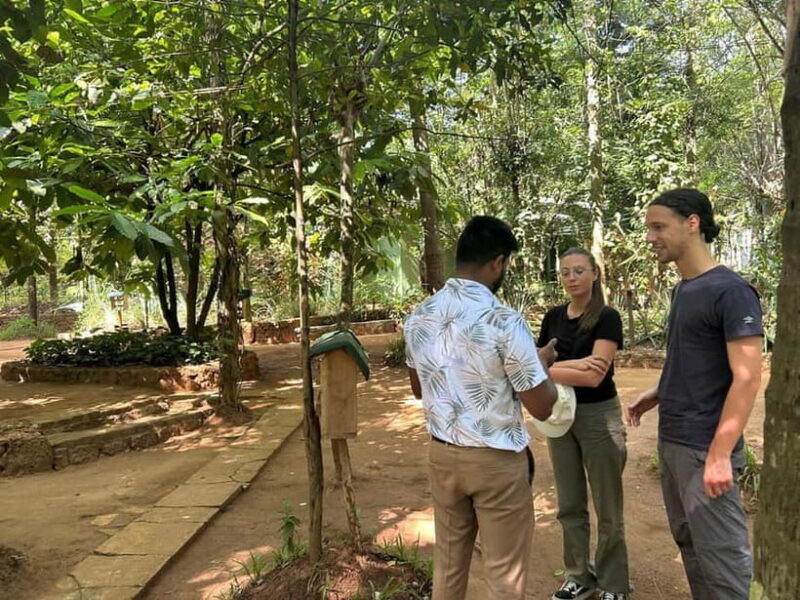 Kandy & Pinnawala Day Tour From Colombo or Negombo - A Detailed Look at the Tour Experience