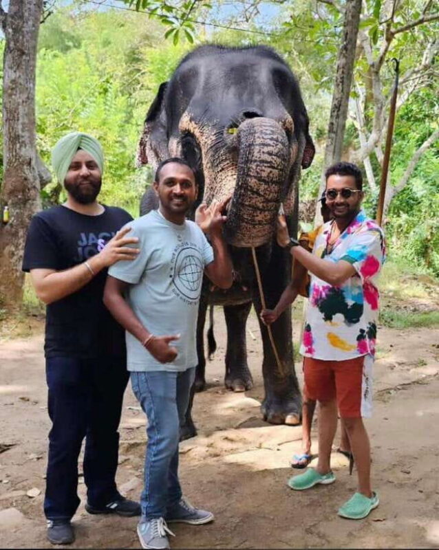 Kandy : Pinnawala Day Tour with Top Rated Local Guide - Kandy: Pinnawala Day Tour with Top-Rated Local Guide