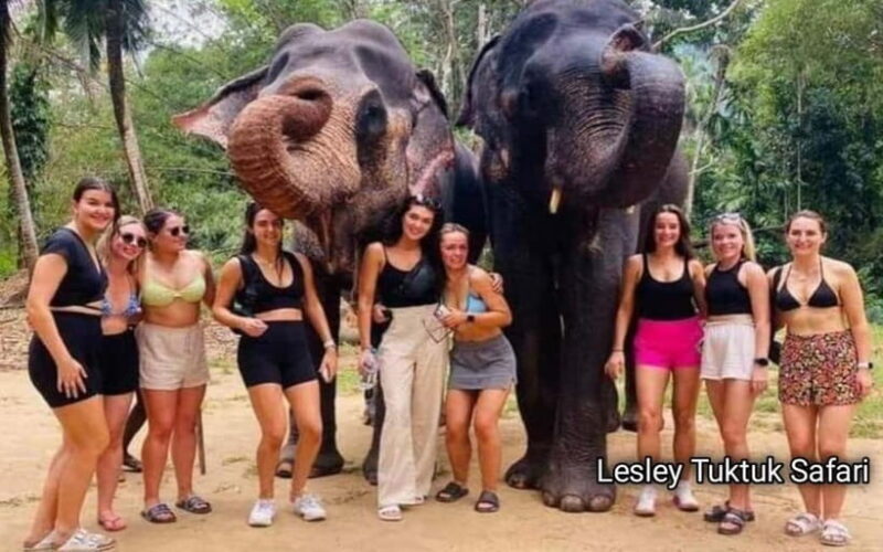 Kandy : Pinnawala Elephant Safari Tour with Kandy City Tour - FAQ