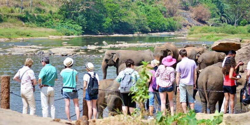 Kandy Pinnawala full day tour from Bentota and Kalutara - An In-Depth Look at the Tour Experience