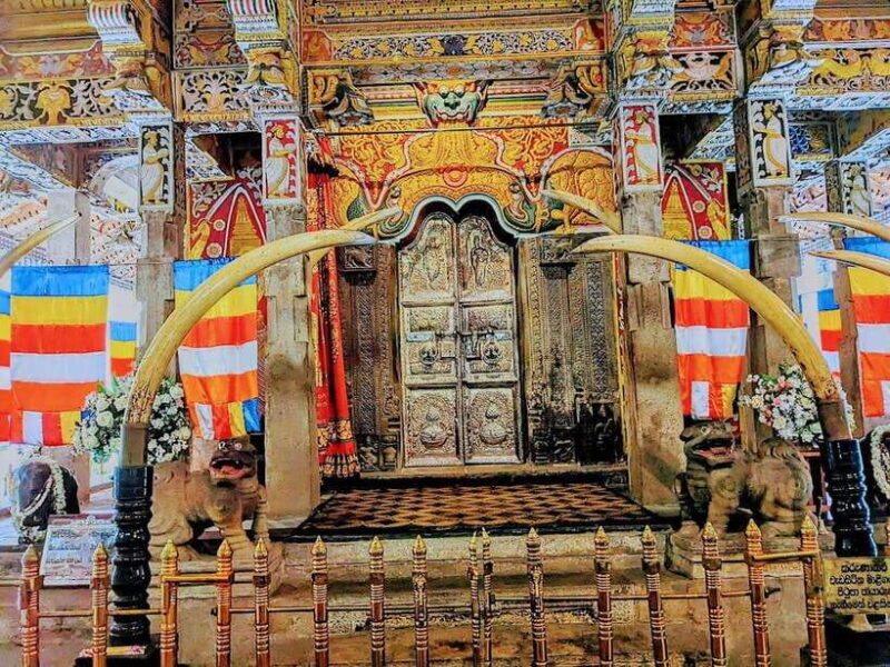 Kandy, Pinnawala & Tea Factory Full Day Tour From Colombo - An In-Depth Look at the Tour Experience