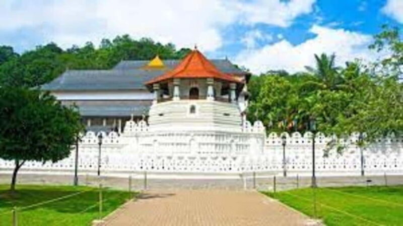 Kandy & Pinnawala & Tea Factory Full Day Tour From Negombo - Key Points