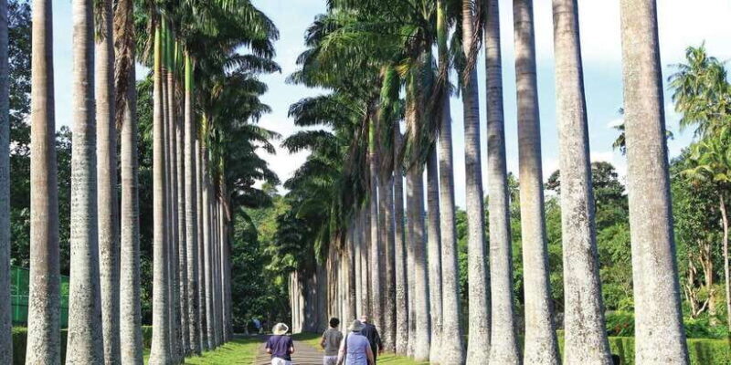 Kandy: Private Guided City Tours by Tuk Tuk Sightseeing Tour - The Sum Up: Who Will Love This Tour?
