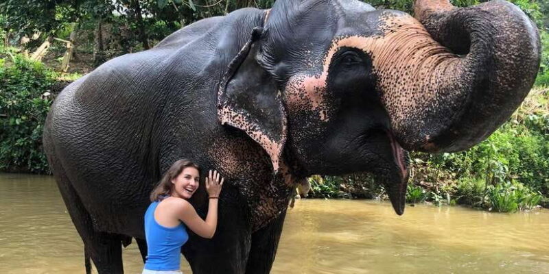 Kandy privet day tour with pinnawala and Tea plantation - Exploring Kandy: A Deep Dive into the Highlights