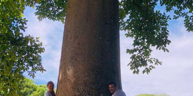 Kandy privet day tour with pinnawala and Tea plantation - Final Thoughts