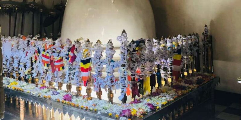 Kandy privet day tour with pinnawala and Tea plantation - FAQ