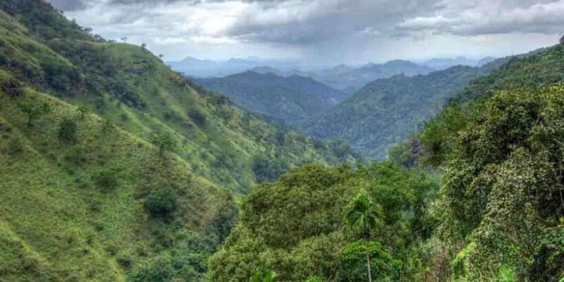 Kandy: Shanthipura and Nuwara Eliya - Experience the best of Sri Lanka’s hill country in one day with the Kandy: Shanthipura and Nuwara Eliya tour. For $65 per person, youll spend about 12 hours exploring some of the most picturesque spots in the Mahanuvara region. From the misty peaks to lush gardens and historic towns, this trip packs in a lot of visual and cultural delights.