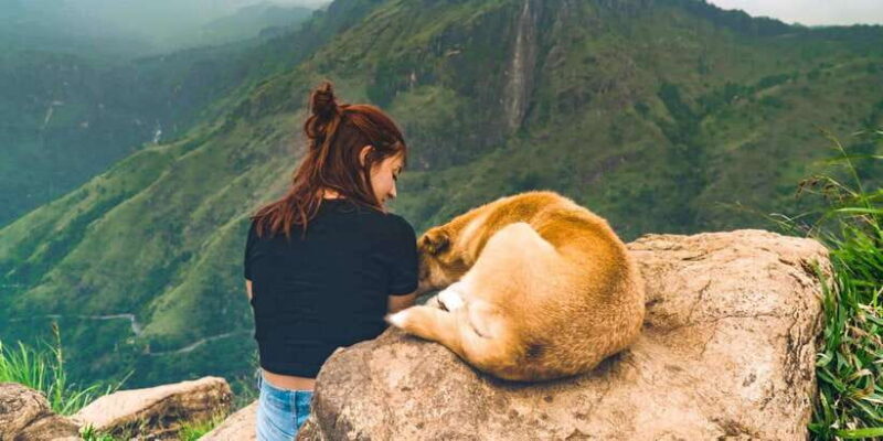 Kandy: Shanthipura and Nuwara Eliya - Practical Considerations and Tips