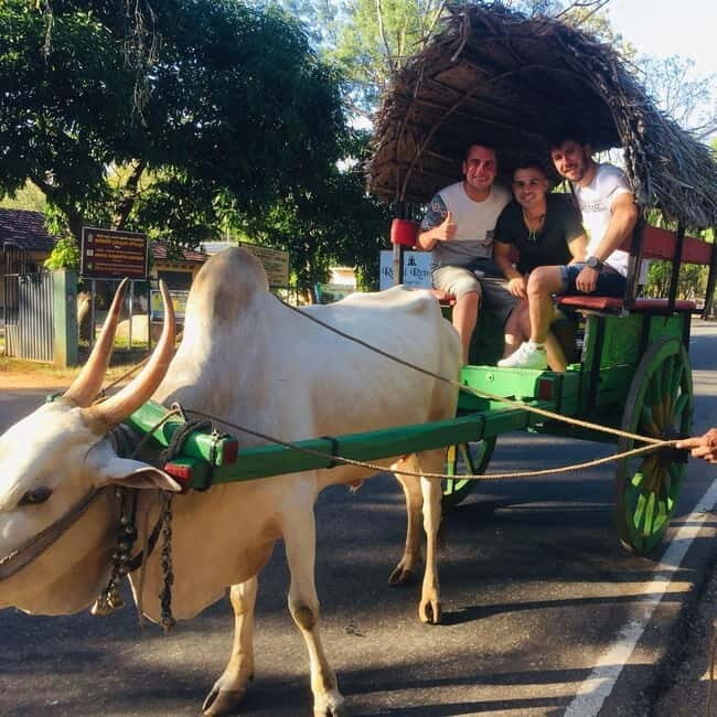 Kandy : Sigiriya Guided Day Tour By Tuk Tuk - Who Is This Tour Best Suited For?