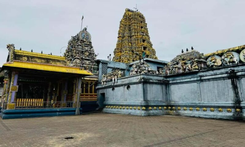 Kandy: Sigiriya Rock & Ancient Kingdom Polonnaruwa Day Trip - Who Will Love This Tour?