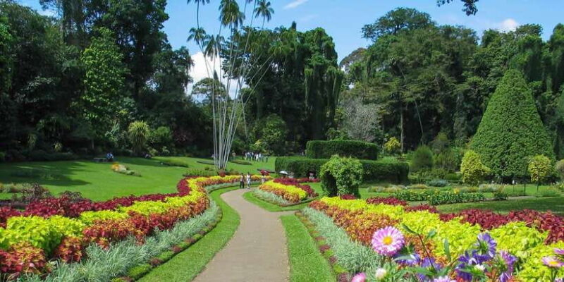 Kandy: Temples, Gardens & Cultural Show City Highlights Tour - Who Will Appreciate This Tour?