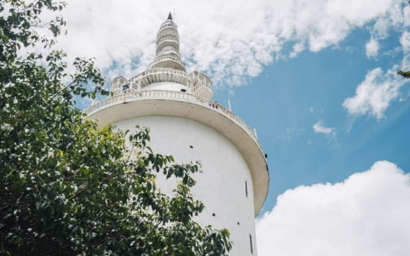 Kandy to Ambuluwawa Tower, Pinnawala, Full Day Tour - The Experience: What Makes It Stand Out?