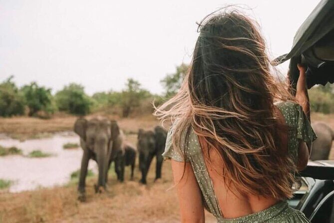 Kandy to Anuradhapura Shuttle & Safari Drive - Experience the Best of Sri Lanka’s Wildlife and Heritage on the Kandy to Anuradhapura Safari & Shuttle