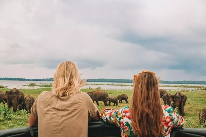 Kandy to Anuradhapura Shuttle & Safari Drive - Who Should Consider This Tour?