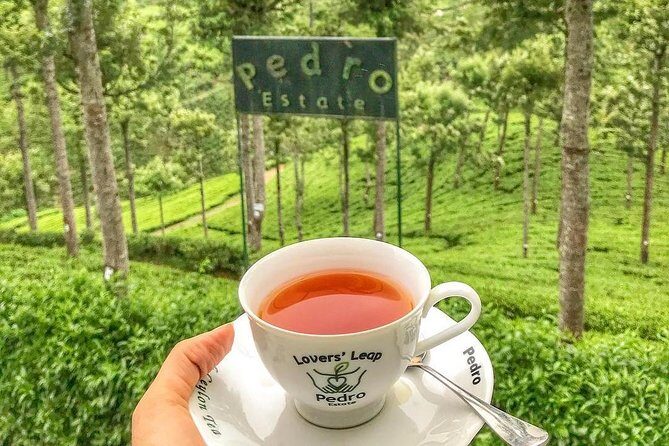 Kandy to Nuwara Eliya Day Tour - Exploring Sri Lanka’s Tea Country: The Kandy to Nuwara Eliya Day Tour