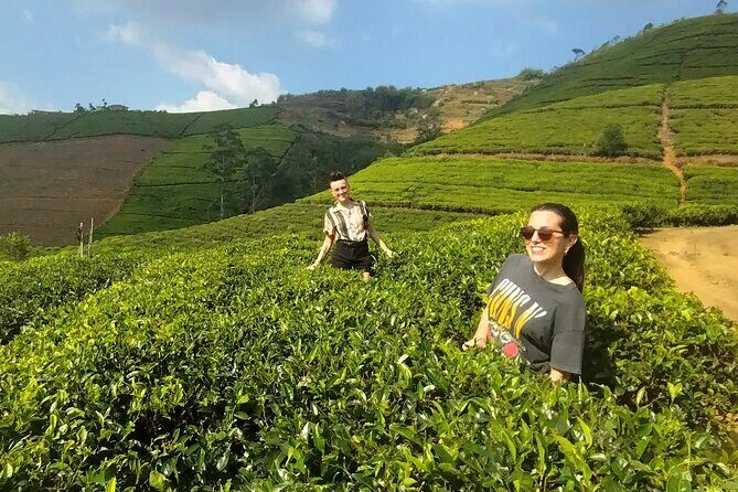 Kandy to Nuwara Eliya Private Day Tour: Tea Factory& Gregory Lake - Key Points