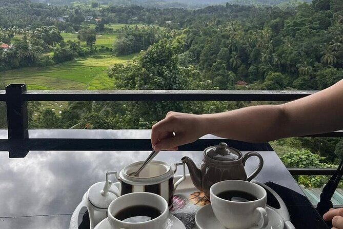 Kandy to Nuwara Eliya Private Day Tour: Tea Factory& Gregory Lake - A Closer Look at the Kandy to Nuwara Eliya Tour