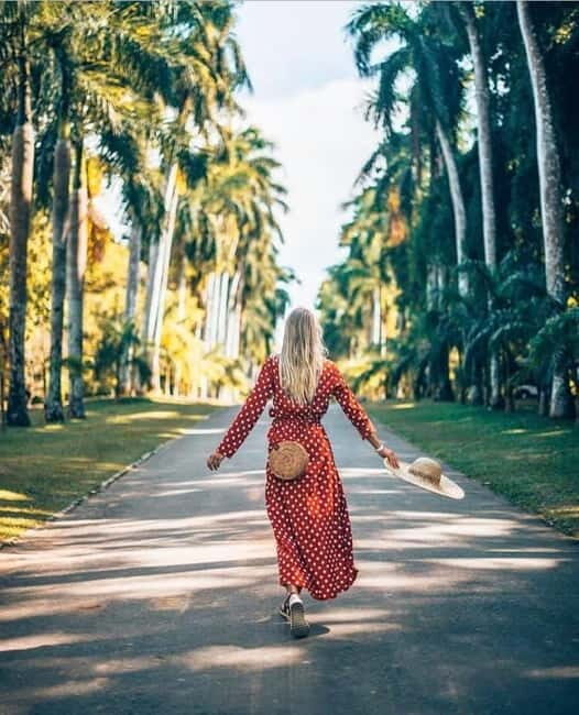 Kandy to Pinnawala Guided Day Tours by Local - Introduction: A Day in Kandy with a Twist