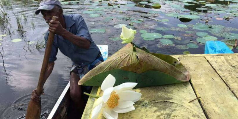 Kandy to Sigiriya-Dambulla Day trip - In-Depth Review of the Kandy to Sigiriya-Dambulla Day Trip