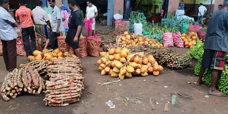 Kandy to Sigiriya-Dambulla Day trip - FAQs