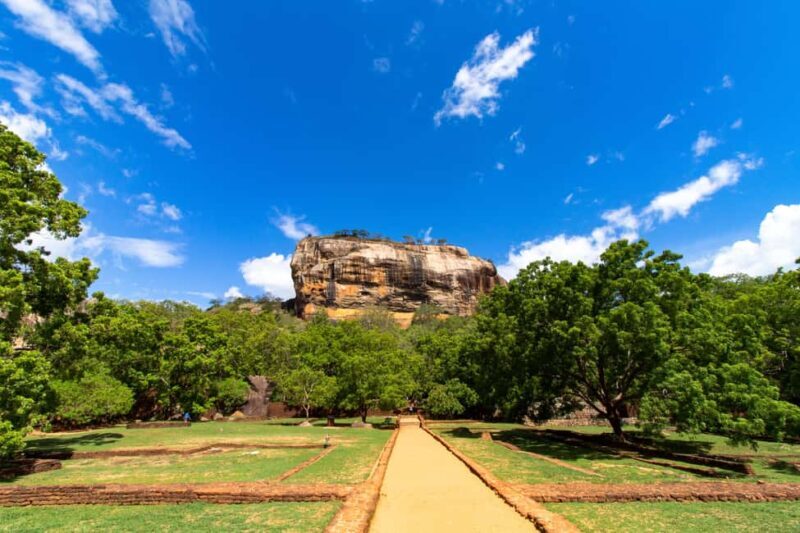 Kandy To Sigiriya Day Tour With Minneriya Safari - Key Points
