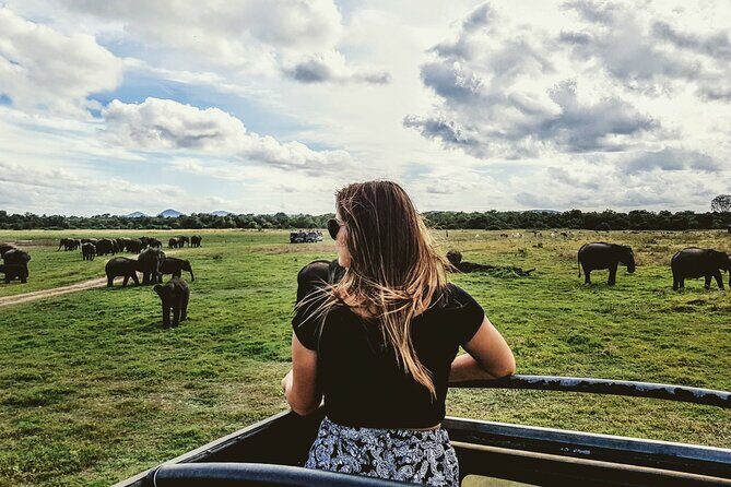 Kandy to Trincomalee Shuttle & Safari Drive - Experience the Best of Sri Lanka’s Wildlife and Coastal Charm: Kandy to Trincomalee Shuttle & Safari Drive