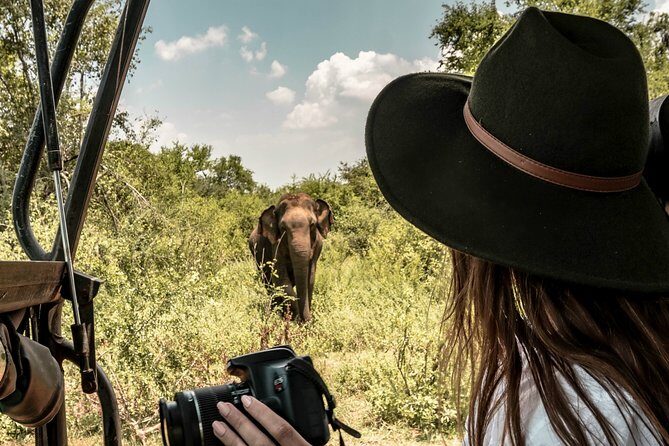 Kandy to Trincomalee Shuttle & Safari Drive - Final Thoughts on Value and Suitability