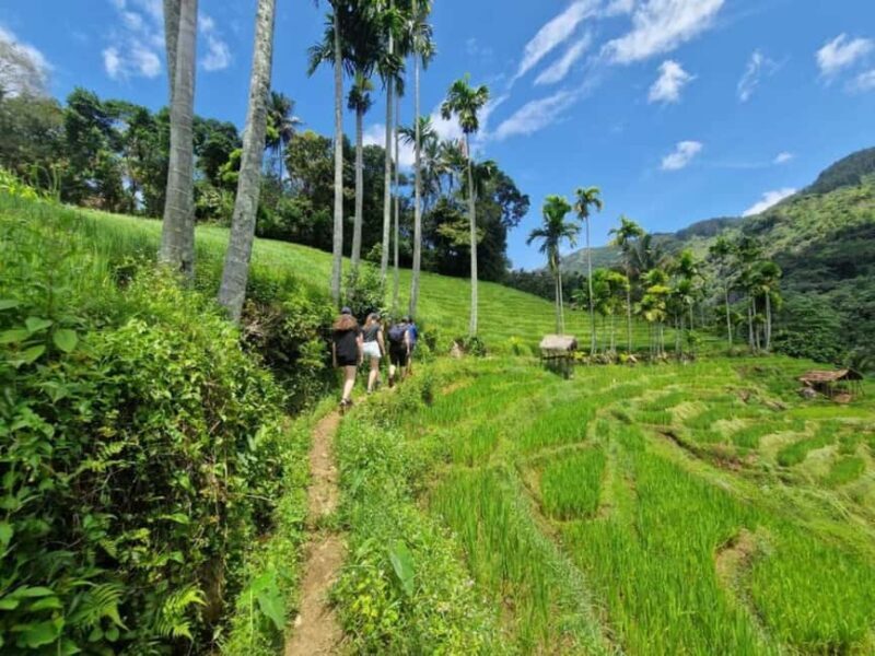 Kandy: Traditional Village Tour with Authentic Experience - Exploring Heeloya Village: What to Expect