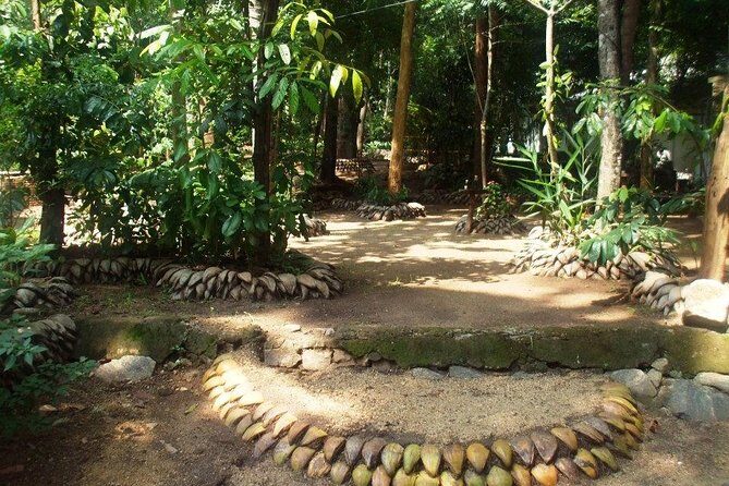 Kandy Transfer Visiting Dambulla Cave Temple and Herbal Garden - Key Points