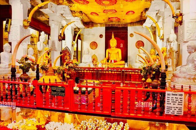 Kandy Transfer Visiting Dambulla Cave Temple and Herbal Garden - FAQ