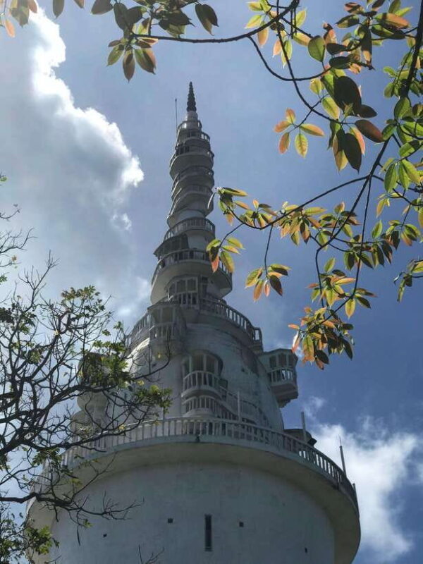 Kandy: Tuk Tuk Tour with Ambuluwawa Tower & Pinnawala - The Sum Up