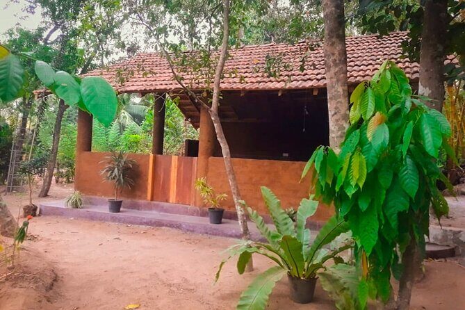 Kandy Village Cooking Class - Kandy Village Cooking Class: A Flavorful Journey into Sri Lankan Cuisine