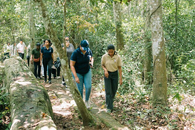 Kandy Yahalatenna Walking Coffee Class Activity - Who Should Consider This Tour?