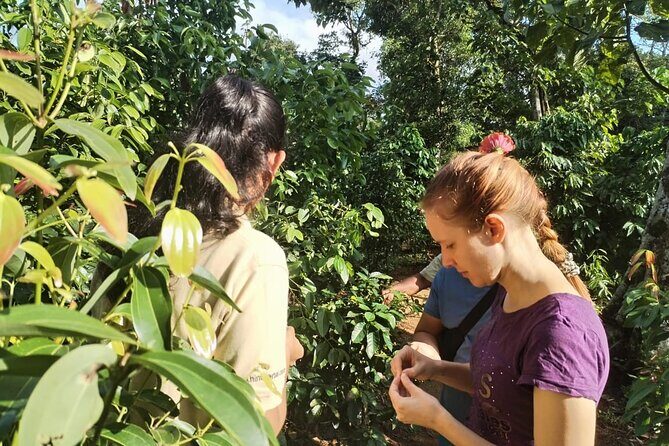 Kandy Yahalatenna Walking Coffee Class Activity - The Sum Up
