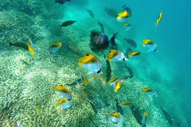 Kaneohe Sandbar Snorkeling Tour - 2nd Tour - Who Will Love This Tour?