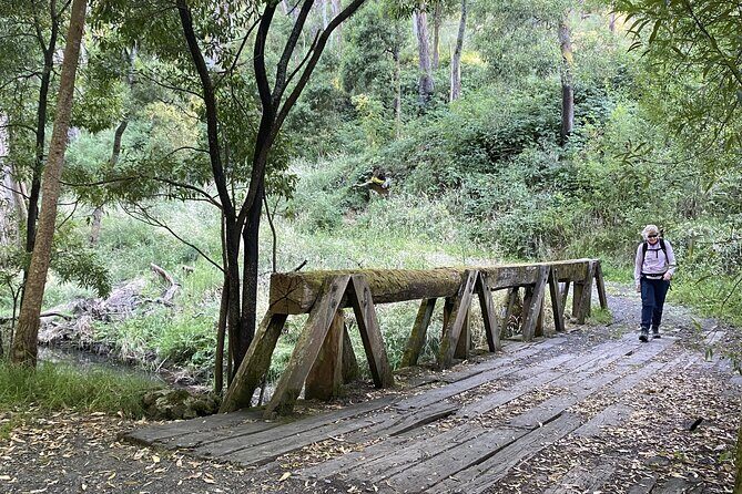 Kangaroo Experience at Melbourne Zoo - excl. entry - Final Thoughts: Is It Worth It?
