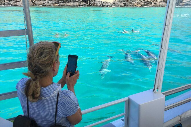 Kangaroo Island 75-Minute Coastal Safari - Key Points