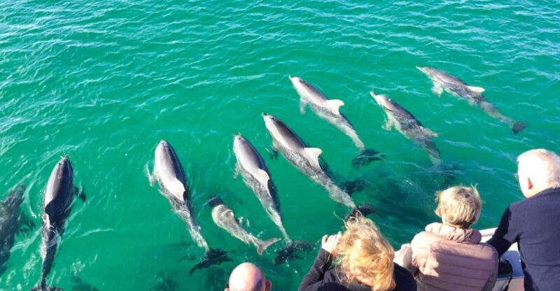 Kangaroo Island: 75-Minute Coastal Safari - A Close Look at the Coastal Safari Experience