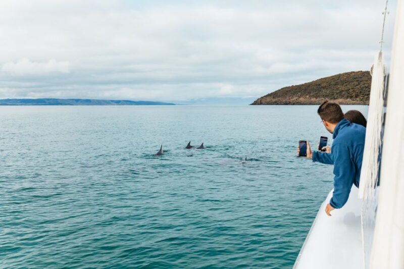 Kangaroo Island: 75-Minute Coastal Safari - Frequently Asked Questions